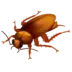 Cockroach