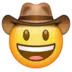 Cowboy Hat Face