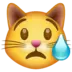 Crying Cat