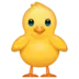 Front-Facing Baby Chick