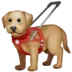 Guide Dog