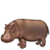 Hippopotamus