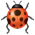 Lady Beetle