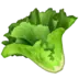 Leafy Green