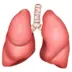 Lungs