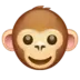 Monkey Face