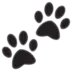 Paw Prints