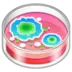 Petri Dish
