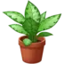 Potted Plant
