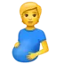 Pregnant Person