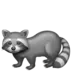Raccoon