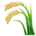 Sheaf of Rice