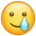 Smiling Face With Tear