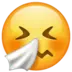 Sneezing Face