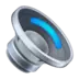 Speaker Medium Volume