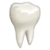 Tooth