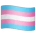 Transgender Flag