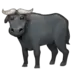Water Buffalo