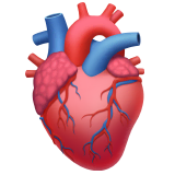 anatomical-heart Emoji apple