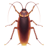 cockroach Emoji apple