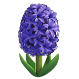 hyacinth Emoji apple