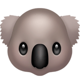 🐨 Koala Emoji on Apple macOS and iOS iPhones