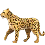 Леопард on Apple