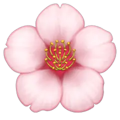 Fleur de cerisier Émoji Facebook