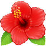 hibiscus Emoji facebook