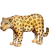 leopard Emoji facebook