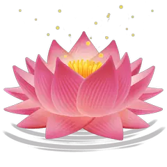 🪷 Lotus Emoji on Facebook