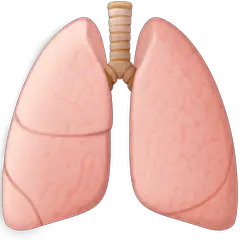 🫁 Lungs Emoji on Facebook