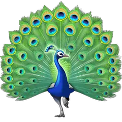 Peacock Emoji on Facebook