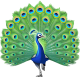 peacock Emoji facebook