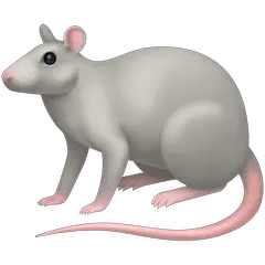 Крыса on Facebook