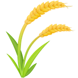sheaf-of-rice Emoji facebook