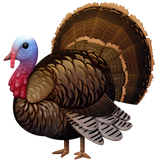 turkey Emoji facebook