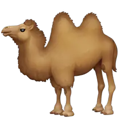 🐫 Zweihöckriges Kamel Emoji auf Facebook