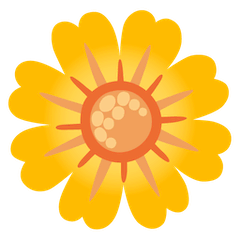 🌼 Blossom Emoji on Google Android and Chromebooks