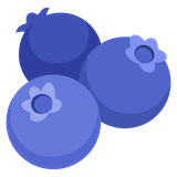 blueberries Emoji google