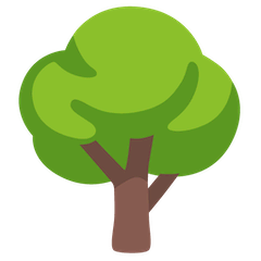 Deciduous Tree Emoji on Google Android and Chromebooks