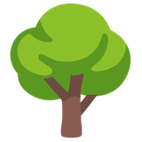 deciduous-tree Emoji google