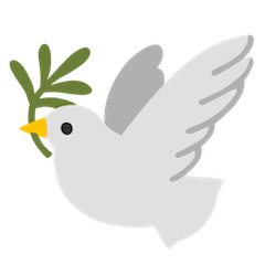 कबूतर on Google