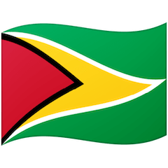 Bendera Guyana on Google