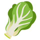 leafy-green Emoji google