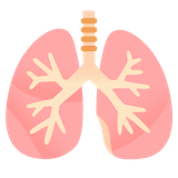 lungs Emoji google