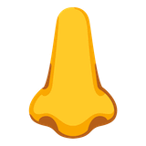 nose Emoji google