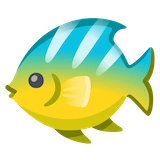 tropical-fish Emoji google