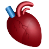 Anatomical Heart on Icons8