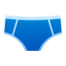 Briefs on Icons8